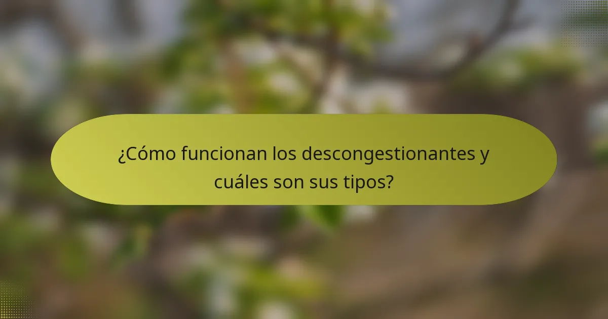 ¿Cómo funcionan los descongestionantes y cuáles son sus tipos?