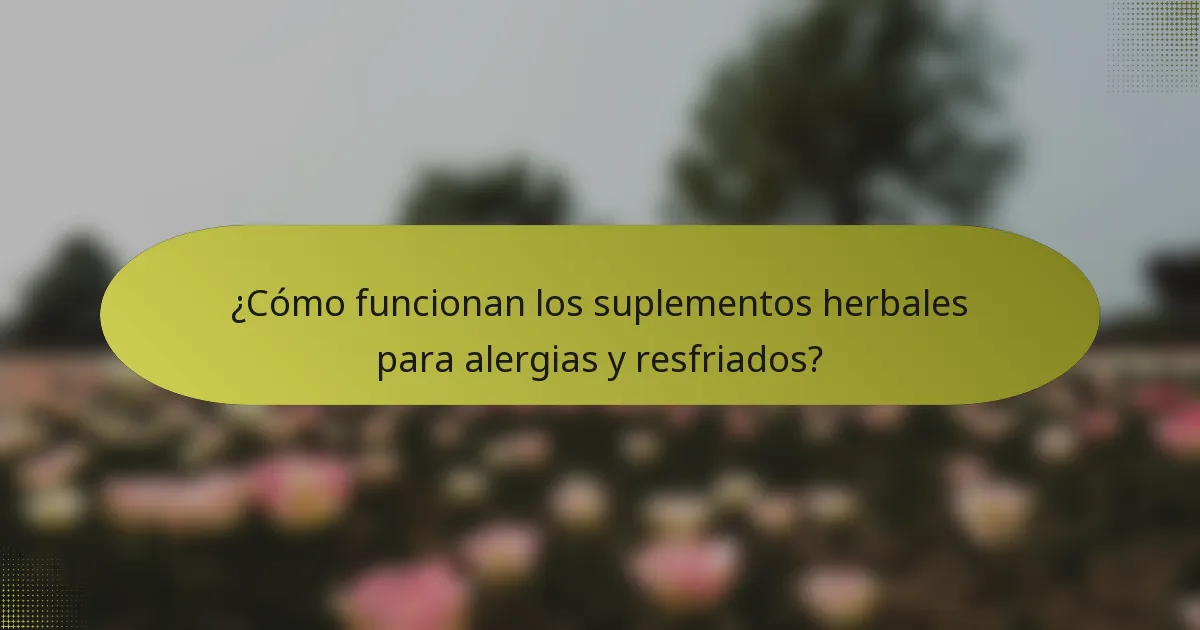 ¿Cómo funcionan los suplementos herbales para alergias y resfriados?