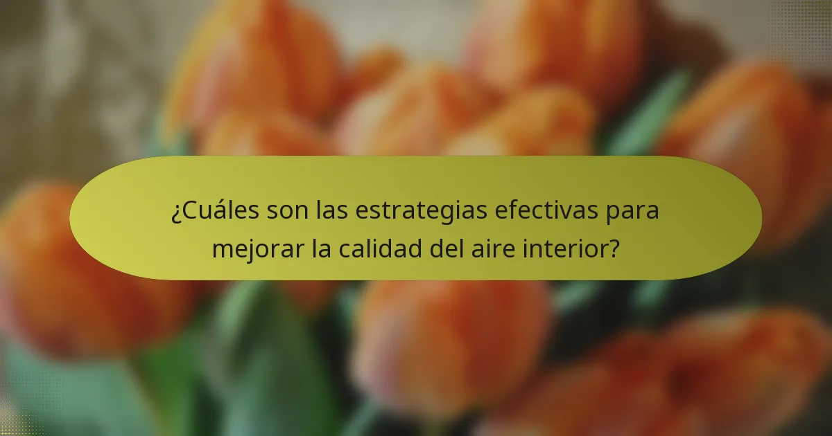 ¿Cuáles son las estrategias efectivas para mejorar la calidad del aire interior?