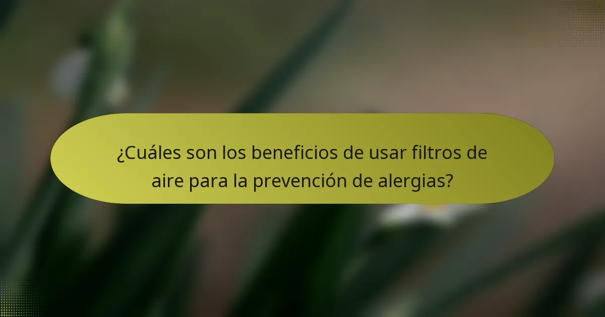 ¿Cuáles son los beneficios de usar filtros de aire para la prevención de alergias?