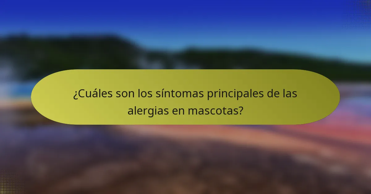 ¿Cuáles son los síntomas principales de las alergias en mascotas?