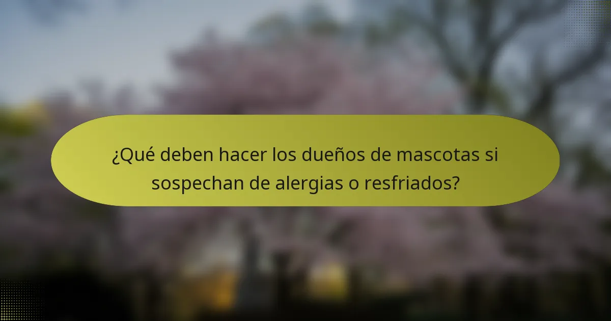 ¿Qué deben hacer los dueños de mascotas si sospechan de alergias o resfriados?